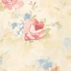 ABBY ROSE - ROSAS AQUARELADAS - AB42418