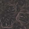 BB HOME PASSION V - ROSES -525618 - PRETO