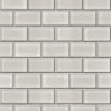 BEAUX-ARTS-2-SUBWAY-TILES-BA220102-CINZA