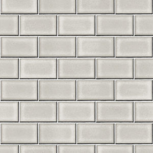 BEAUX-ARTS-2-SUBWAY-TILES-BA220102-CINZA