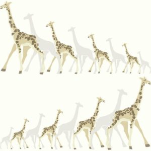 DWELL STUDIO - GIRAFLES - DW2362 - BEGE