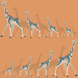 DWELL STUDIO - GIRAFLES - DW2363 - LARANJA B