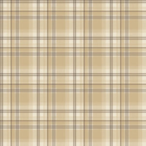 KITCHEN RECIPES - TARTAN - G12270 - FENDI