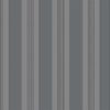 SHIMMER - GLITTERING STRIPE - UK30912 - GRAFITE