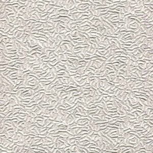 ALPHA - GRAIN - AL1007-2 - BEGE B