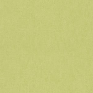 BAMBINO XVII - PLAIN BB - 247459 - VERDE