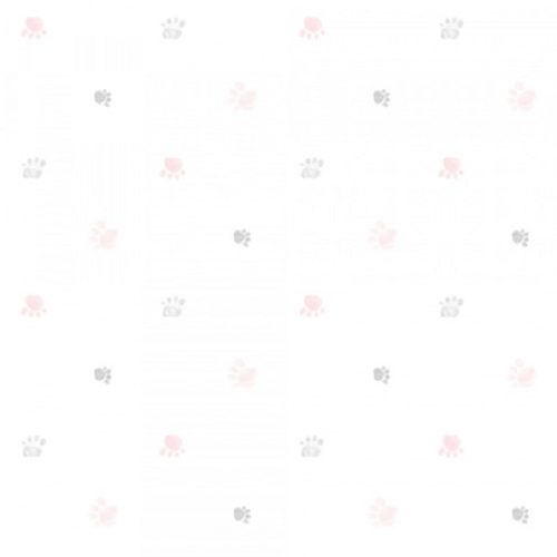 LULLABY - FOOTSTEPS - 228-2 - ROSA