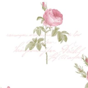 ROSE GARDEN 2 - SOLITARY - CG28820 - OFF WHITE