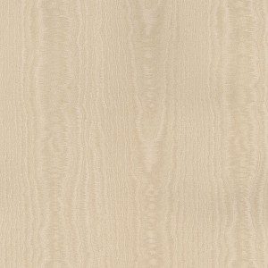 SIMPLY SILKS - WOOD - NS24911 - BEGE C