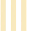 SMART STRIPES - LARGE - G67587 - AMARELO