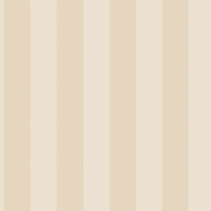 SMART STRIPES - PEARLY - G67555 - BEGE B