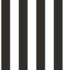 SMART STRIPES - SYMMETRICAL - G67521 - PRETO