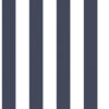 SMART STRIPES - SYMMETRICAL - G67523 - AZUL C