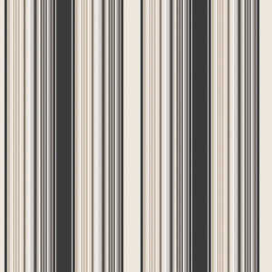 SMART STRIPES - UNEQUAL - G67527 - PRETO