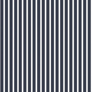 SMART STRIPES - YATCH - G67540 - AZUL C