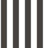 Stripes - Bandiera 5665