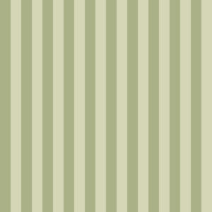 Stripes - Linee 15045