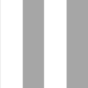 Stripes - Nastro 2153