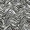 Cool Kids - Zebra KS2296