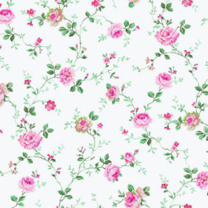 Roses - Garden - PN0411