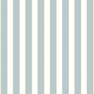 Smart Stripes - Boss - G23161