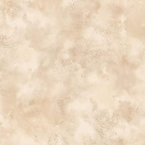 Texture Style 2 - Cloud - TX34834