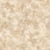 Texture Style 2 - Cloud -TX34838