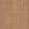 Texture Style - Straw - TX34802