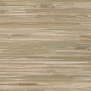 DECORATOR GRASSCLOTH II - JUNCO - 488-403 - BEGE A