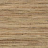 DECORATOR GRASSCLOTH II - JUNCO - 488-417 - DOURADO B