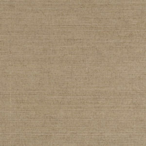 DECORATOR GRASSCLOTH II - PALHINHA - 488-409 - BEGE A