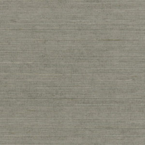 DECORATOR GRASSCLOTH II - PALHINHA - 488-410 - VERDE A