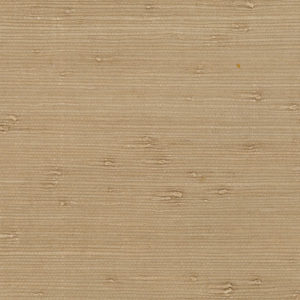 DECORATOR GRASSCLOTH II - PALHINHA - 488-429 - BEGE B