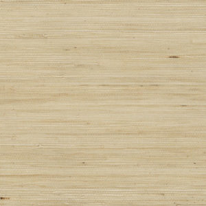 DECORATOR GRASSCLOTH II - PALHINHA - 488-430 - BEGE C