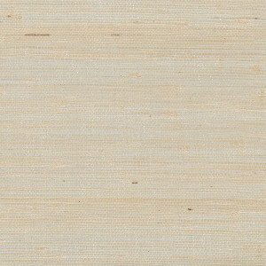 DECORATOR GRASSCLOTH II - PALHINHA - 488-432 - BEGE D